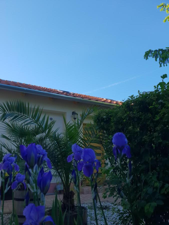 Fuered Deluxe Garden Apartment Balatonfüred Dış mekan fotoğraf