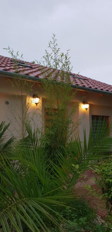 Fuered Deluxe Garden Apartment Balatonfüred Dış mekan fotoğraf