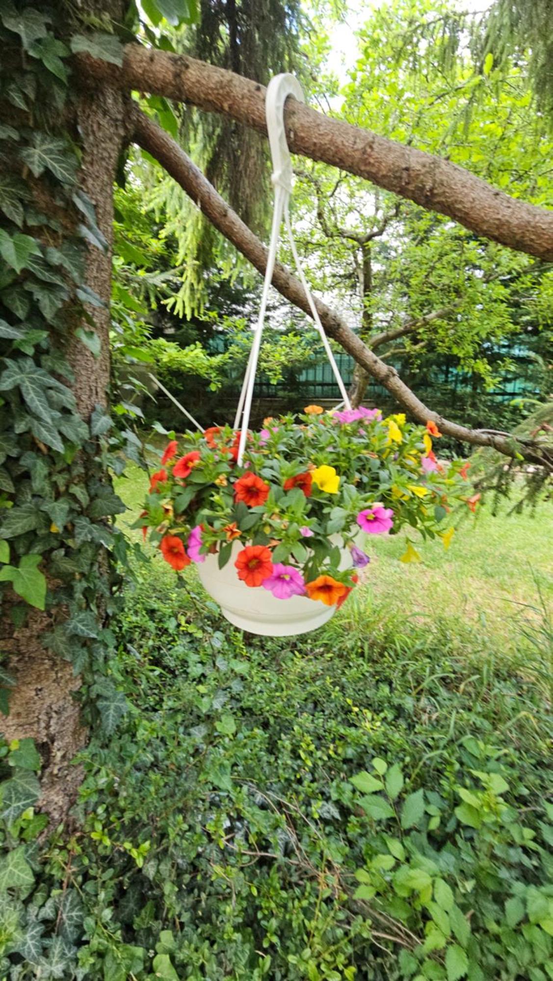 Fuered Deluxe Garden Apartment Balatonfüred Dış mekan fotoğraf